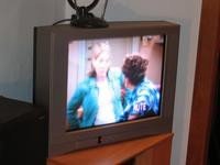 La televisión podría causar autismo