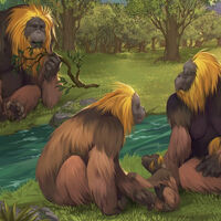 Este mono gigante es lo más cerca que hemos estado de ver a King Kong caminando por la Tierra. Ahora ya sabemos la historia de cómo desapareció