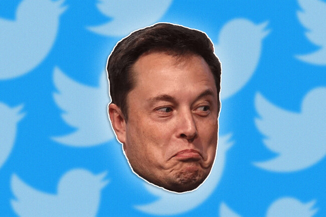 Elon Twitter
