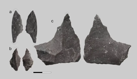 Zubova Et Al 2026 Plos One
