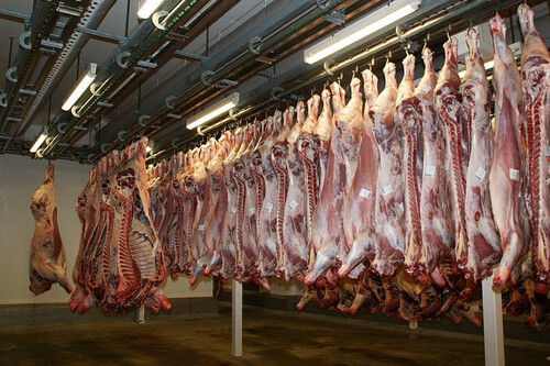 Las recetas para salvar empleos y empresas de hace un año hoy ya no sirven