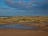 Cabo Polonio: el lujo de las cosas sencillas