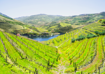 Duero