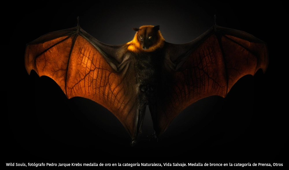 Foto de Wild Souls - Pedro Jarque Krebs (3/3)