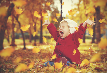 Siete escapadas educativas para hacer en otoño con los más peques