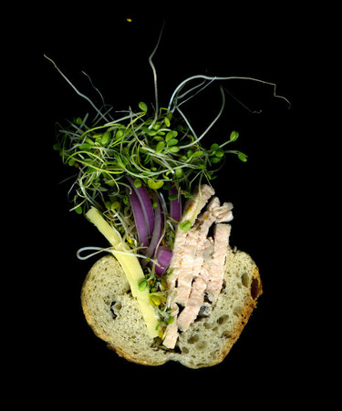 Scanwiches, los sándwiches seccionados de Jon Chonko 