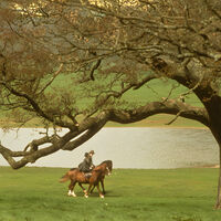 Para ver en Netflix: uno de los mejores papeles de Emma Thompson está en esta hermosa adaptación de un clásico literario que ganó un Oscar