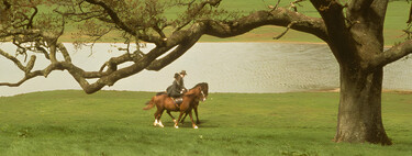 Para ver en Netflix: uno de los mejores papeles de Emma Thompson está en esta hermosa adaptación de un clásico literario que ganó un Oscar