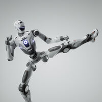 Nos divertía mucho ver peleas de robots. Hasta que vimos cómo uno decapitaba a otro de una patada 