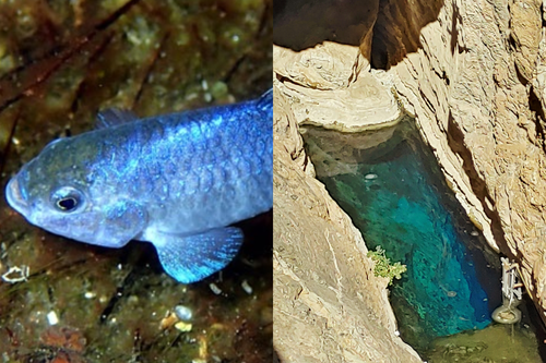 Getty Images/Reprodução