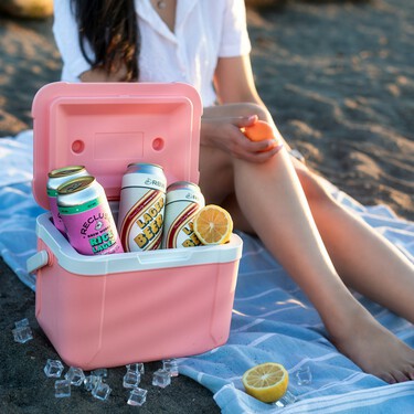 Carrefour tiene la nevera de playa con aires sesenteros que no pesa nada y tiene capacidad para 30 latas de refresco