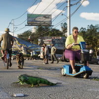 Linux tiene un as bajo la manga y 2026 será el año en el que despegará su vertiente gaming