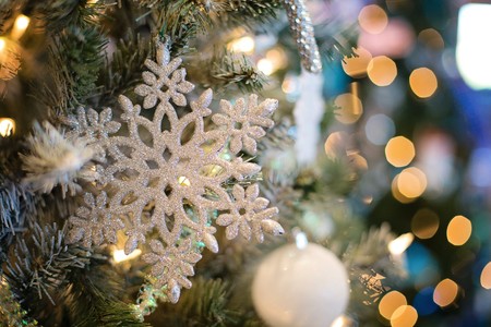 Villancicos de Navidad para niños: Los peces en el río