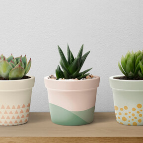 Tiger vende un kit para decorar nuestras macetas y darle un toque de color a nuestro jardín