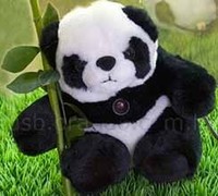 Panda webcam