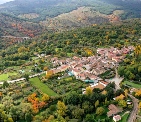 Laacebeda