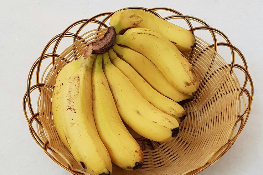 Platano