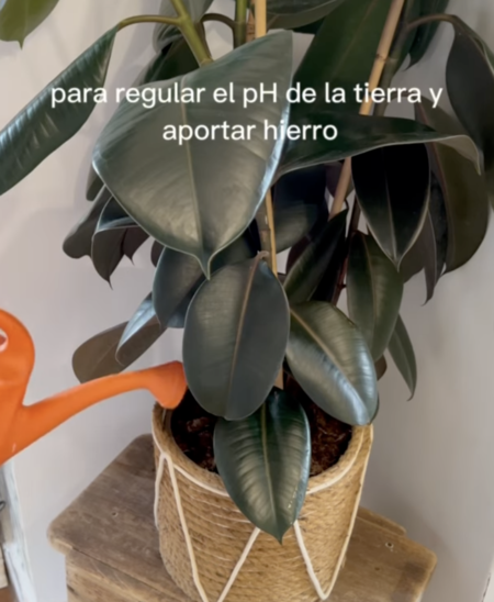 Captura De Pantalla 2025 09 02 A Las 15 42 35