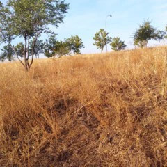 Foto 2 de 9 de la galería fotos-moto-g4-play en Xataka Android