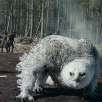 Resulta que en Baldur's Gate 3 puedes soltar una "bomba nuclear con plumas" sobre tus enemigos y hacer un destrozo de casi 1.000 de daño 