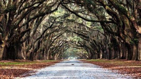 Savannah: el que dicen que es el pueblo más bonito de Estados Unidos 