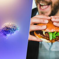 La ciencia lleva años tratando de entender qué le provoca el hambre a nuestro cerebro. Estamos más cerca de saberlo
