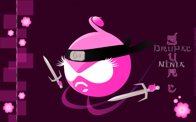 Drupal Ninja