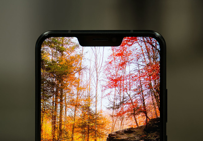 Notch