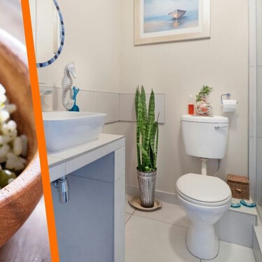 Arroz y romero: la combinación que muchos están usando para eliminar humedad y olores del baño