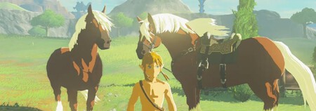 Epona Botw
