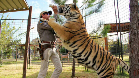 Tiger King