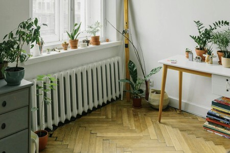 Captura De Pantalla 2024 11 27 A Las 8 44 16