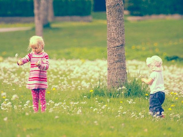 Niños en la naturaleza