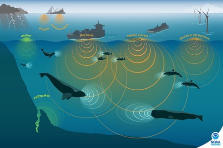 Ilustração de fontes sonoras humanas, de animais marinhos e ambientais no meio marinho, com ondas sonoras proporcionais. Escritório Nacional de Administração Oceânica e Atmosférica.