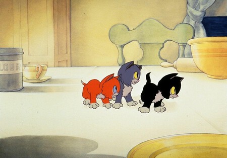 Three Orphan Kittens