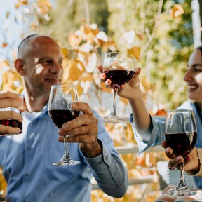 Prohibido echarle hielo al vino bueno, este enfriador plegable es un método más eficaz que incluso protege la botella
