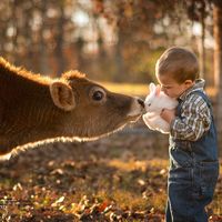Así crecen en una granja: un padre toma preciosas fotografías de sus hijos conviviendo con animales