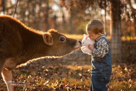Así crecen en una granja: un padre toma preciosas fotografías de sus hijos conviviendo con animales