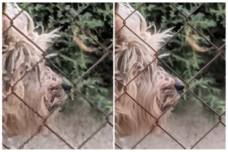 zoom
