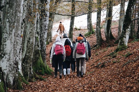 Cyber Monday 2019: ofertas en abrigos The North Face, Columbia, Napapijri o Geographical Norway en Amazon