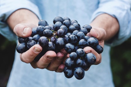 El resveratrol podría ayudarnos a prevenir el Alzheimer, pero el vino tinto no es la mejor forma de incorporarlo a nuestra dieta