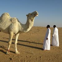 Emiratos Árabes avanza el fin del petróleo: introduce el Impuesto de Sociedades