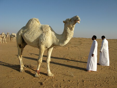 Emiratos Árabes avanza el fin del petróleo: introduce el Impuesto de Sociedades