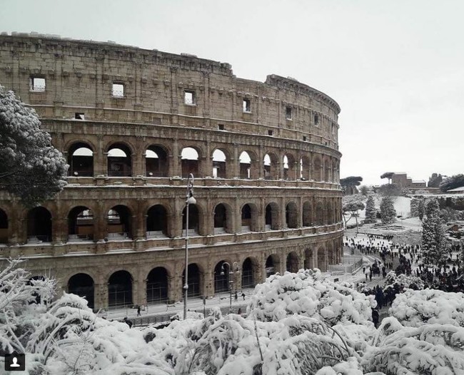 Coliseo