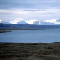 El Ártico era uno de los pocos rincones a salvo de las especies invasoras gracias al frío. Hasta que llegó el cambio climático