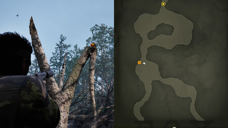 Gako Norte Dolinodvno Copia