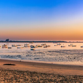 El pueblo gaditano frente a Doñana donde se comen los mejores langostinos de España 