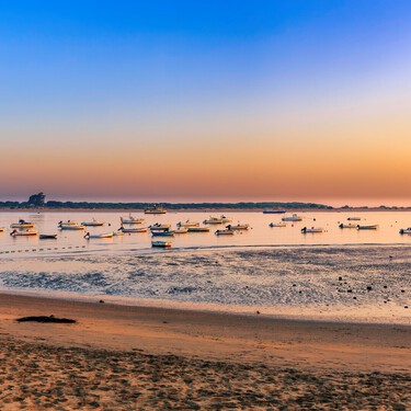 El pueblo gaditano frente a Doñana donde se comen los mejores langostinos de España 