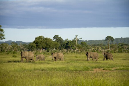 Zanzíbar Parque Nacional Mikumi