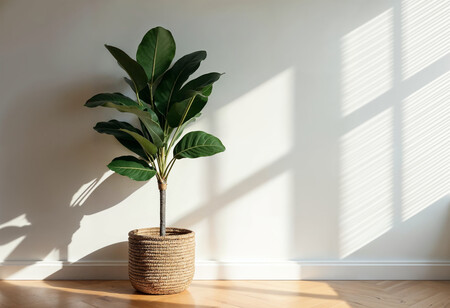 Una Hermosa Ilustracion De Una Planta